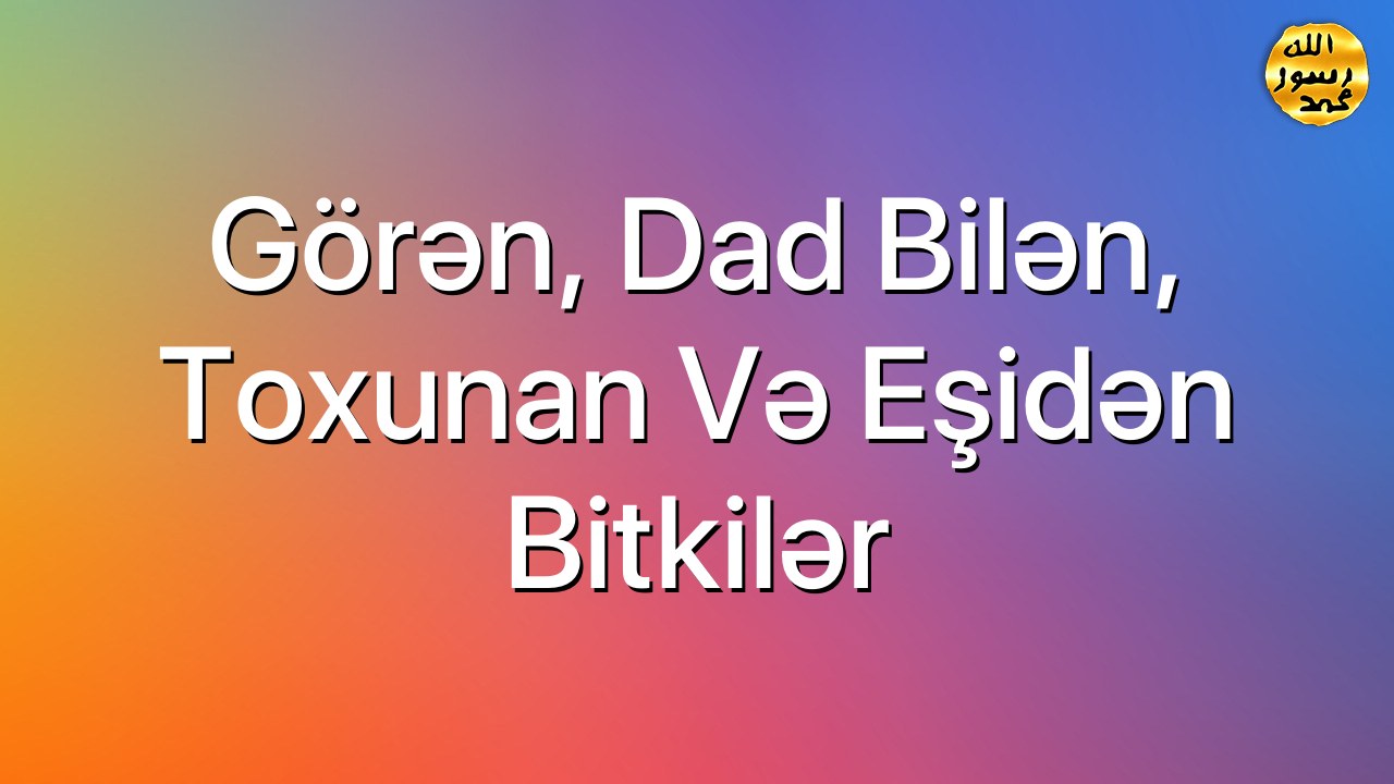 Görən, dad bilən, toxunan və eşidən bitkilər