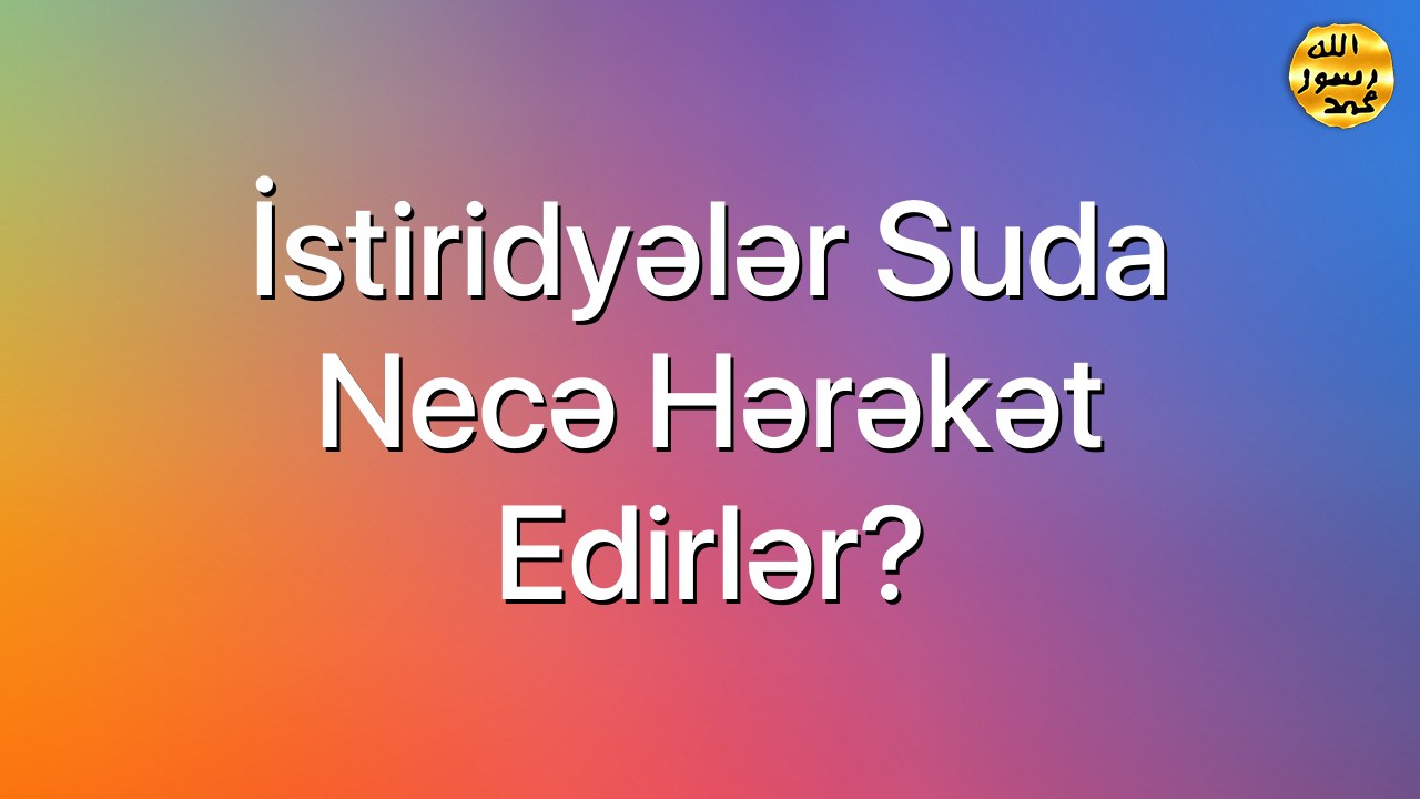 İstiridyələr suda necə hərəkət edirlər?