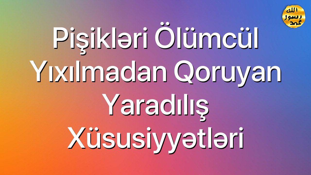 Pişikləri ölümcül yıxılmadan qoruyan yaradılış xüsusiyyətləri