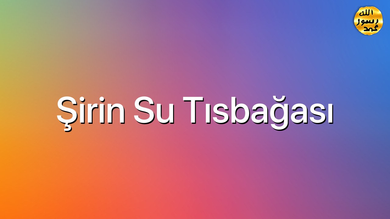 Şirin su tısbağası