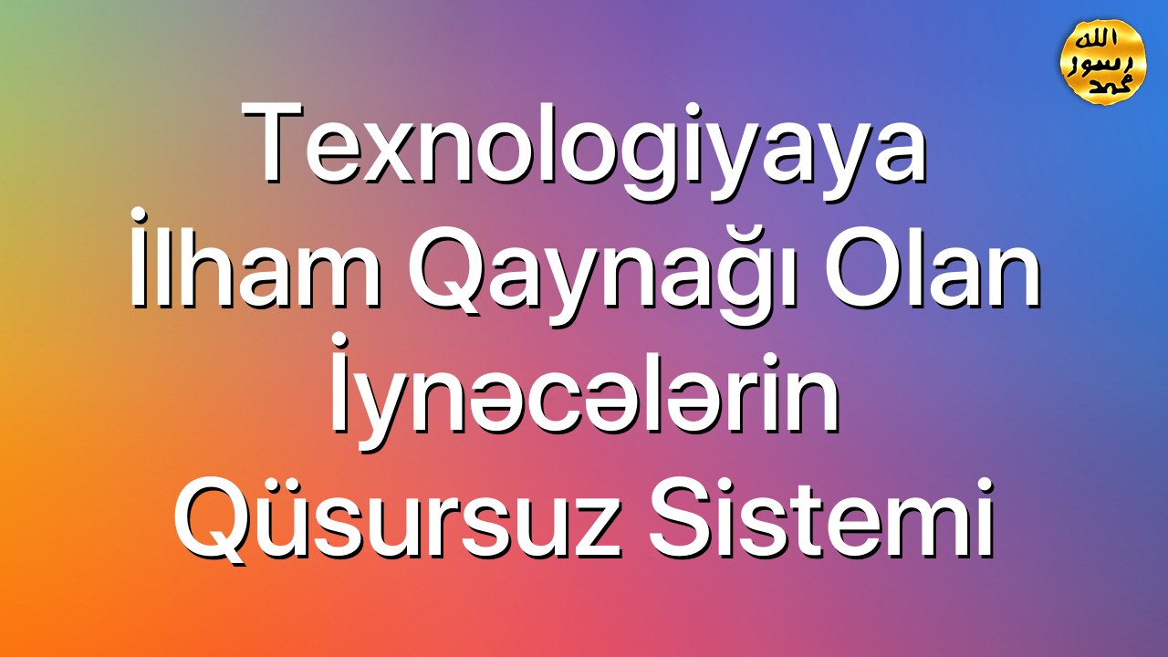 Texnologiyaya ilham qaynağı olan iynəcələrin qüsursuz sistemi