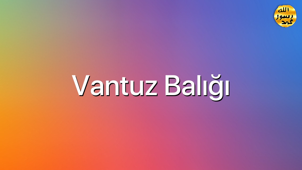 Vantuz balığı