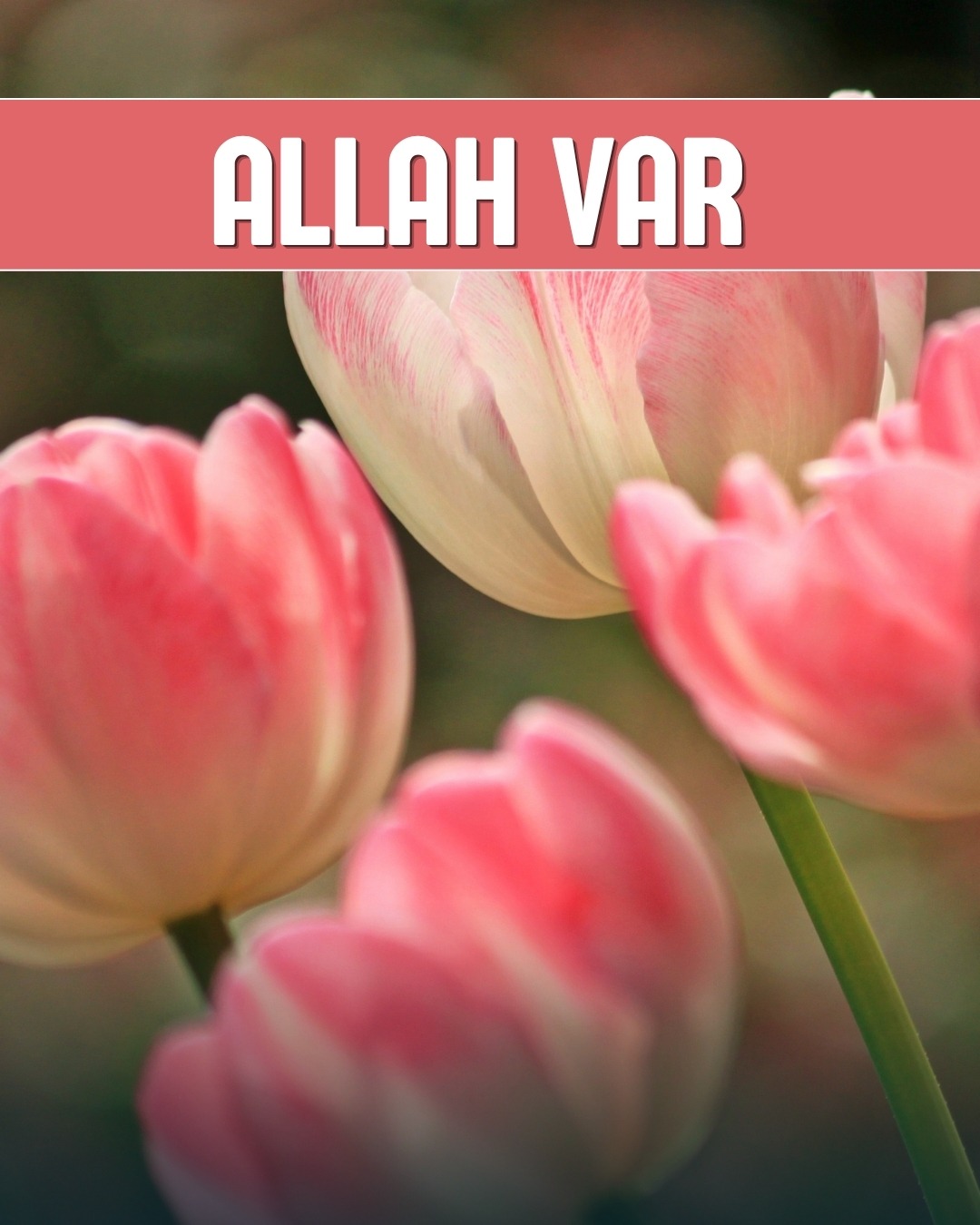 Allah Var