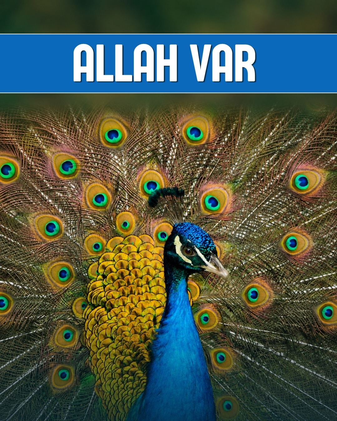 Allah Var