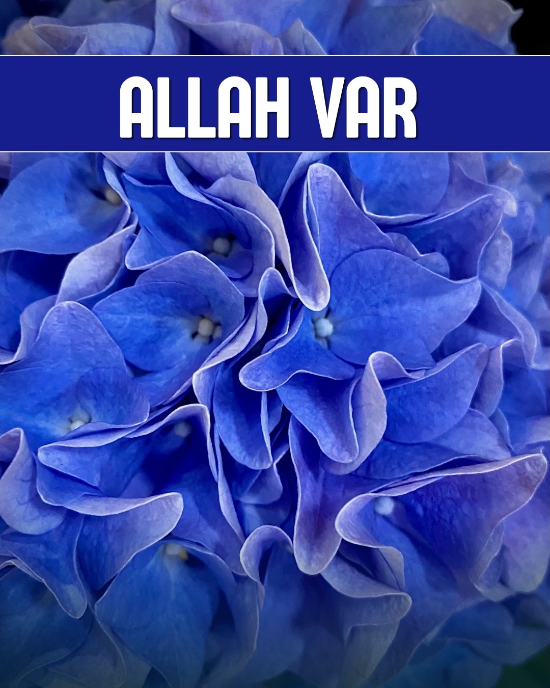 Allah Var