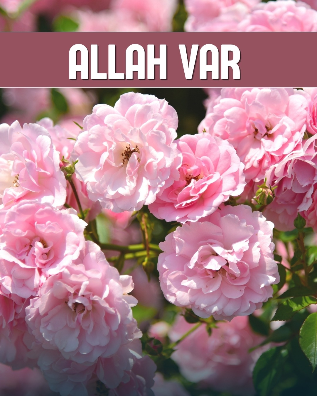 Allah Var