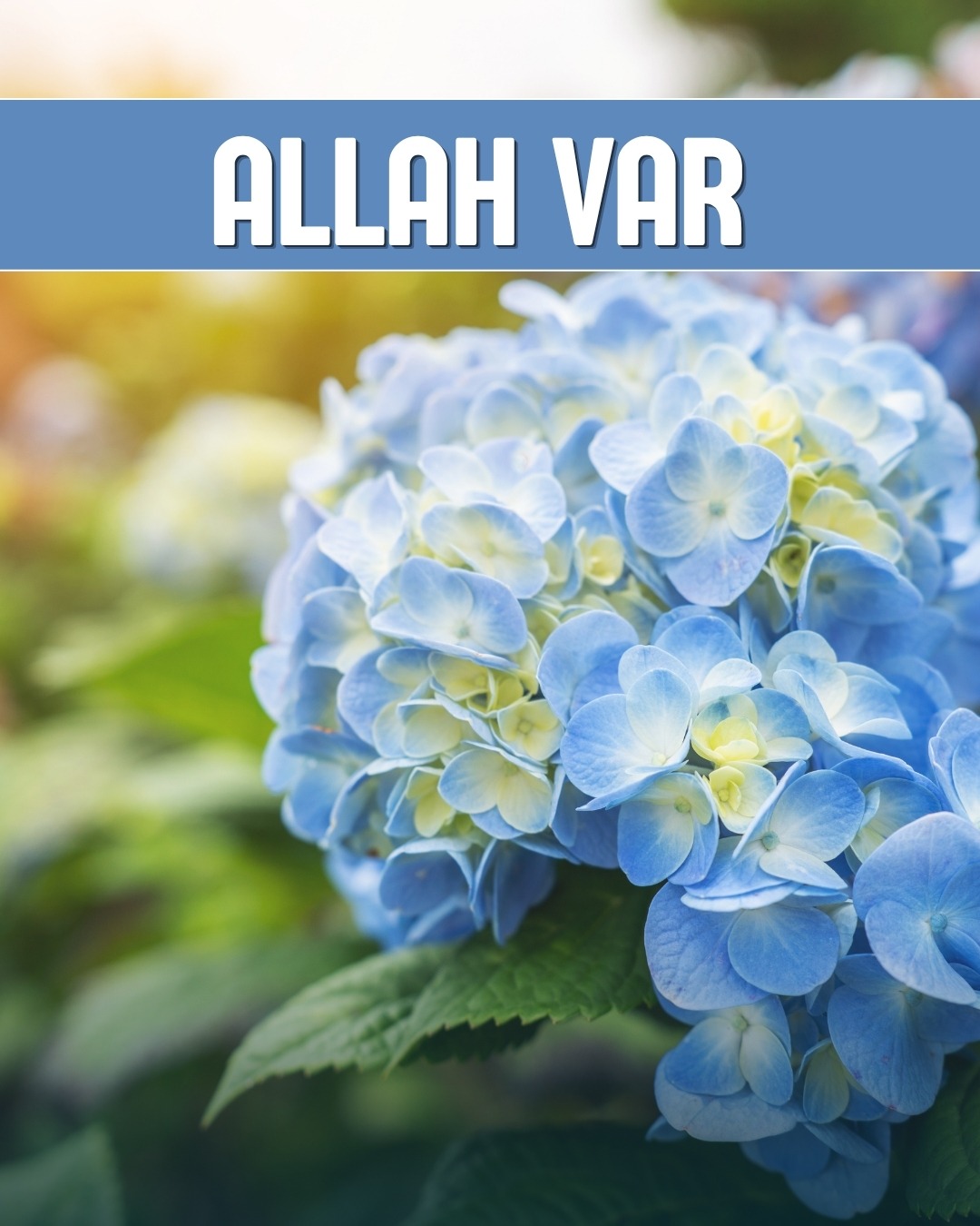 Allah Var