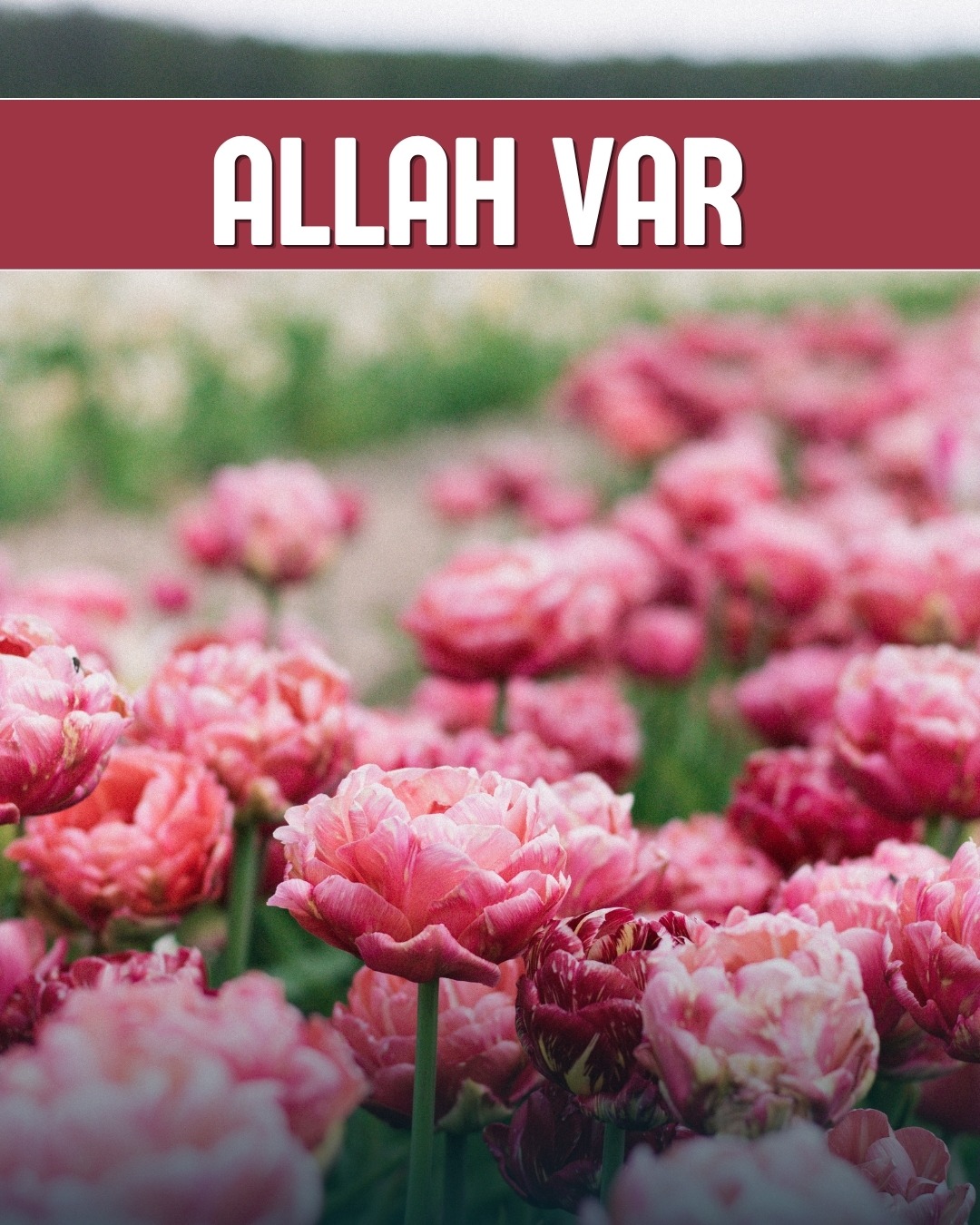 Allah Var