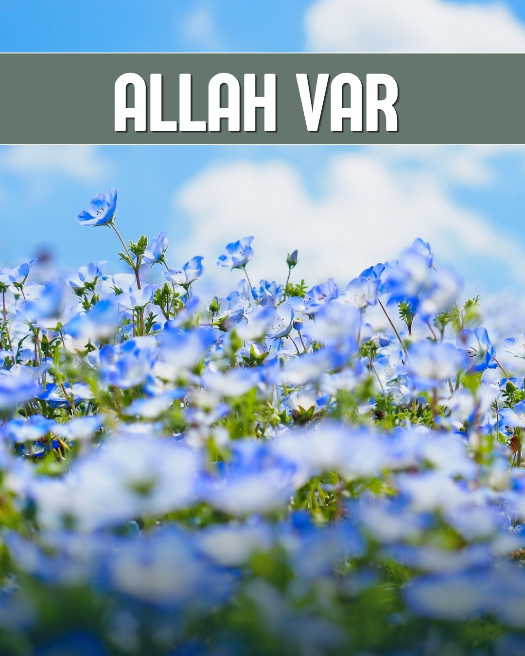 Allah Var