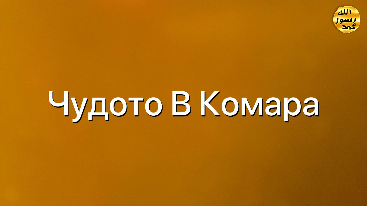Чудото в комара
