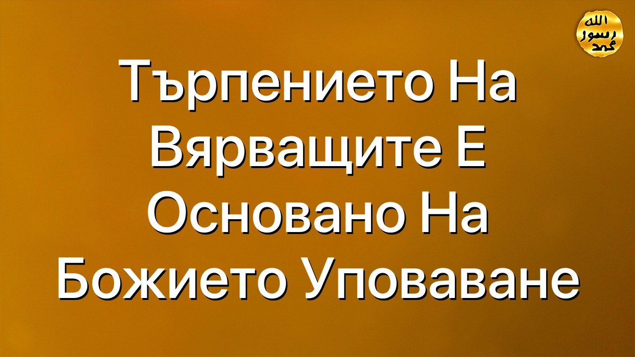 Търпението на вярващите е основано на Божието уповаване