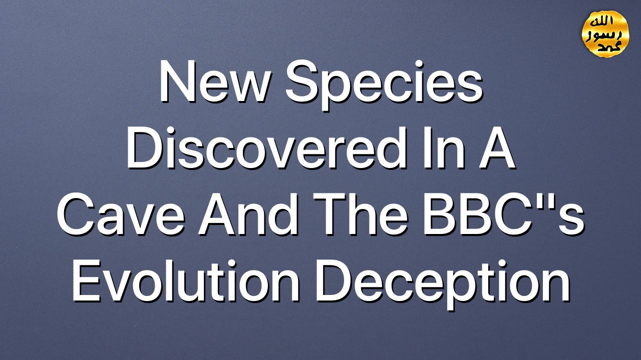 New Species Discovered in a Cave and the BBC"s Evolution Deception