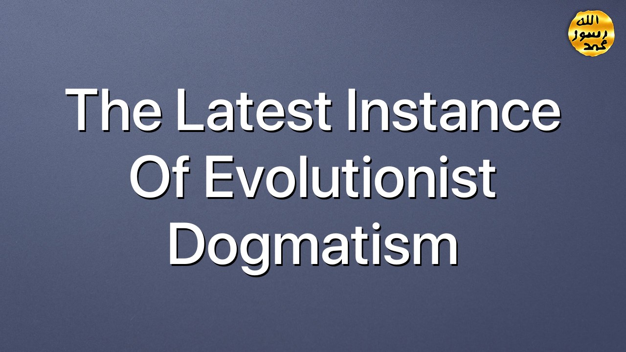 The Latest Instance of Evolutionist Dogmatism