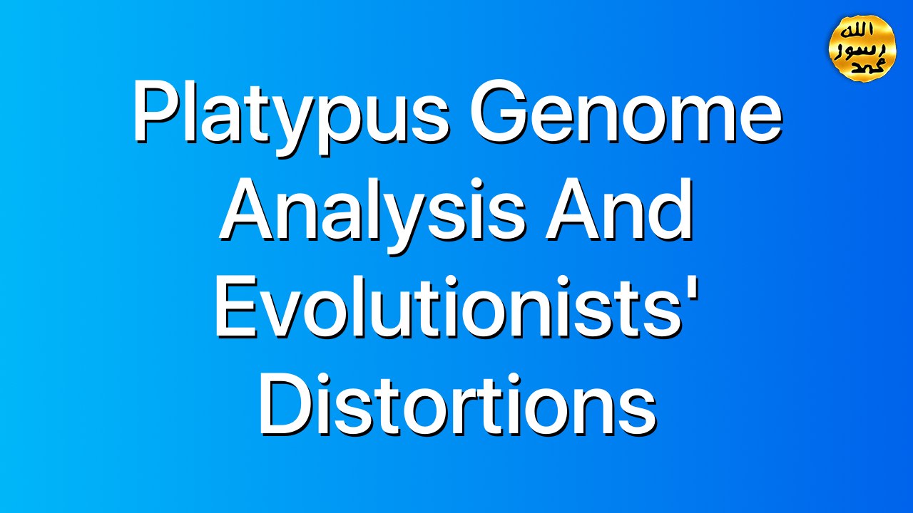 Platypus Genome Analysis and Evolutionists’ Distortions