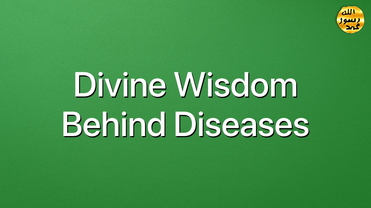 Divine wisdom behind diseases