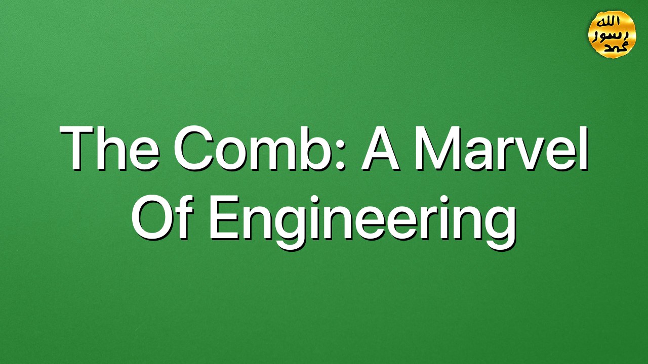 The comb: A marvel of engineering