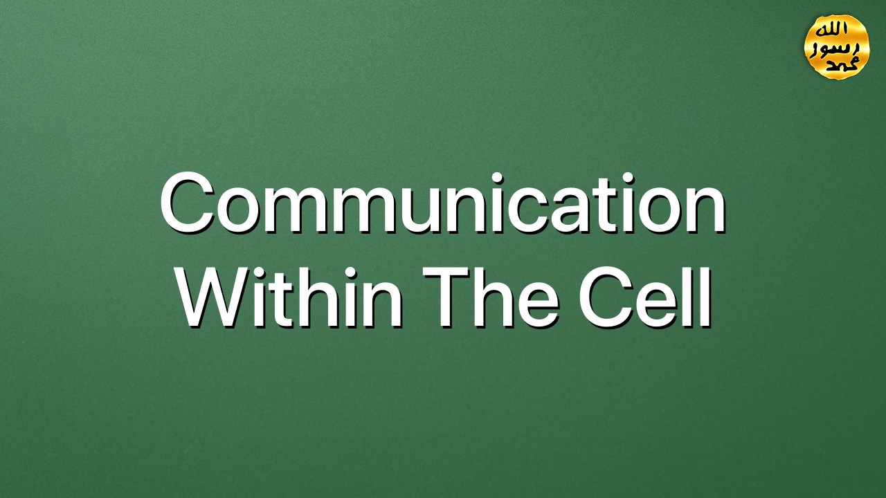 Communication within the cell