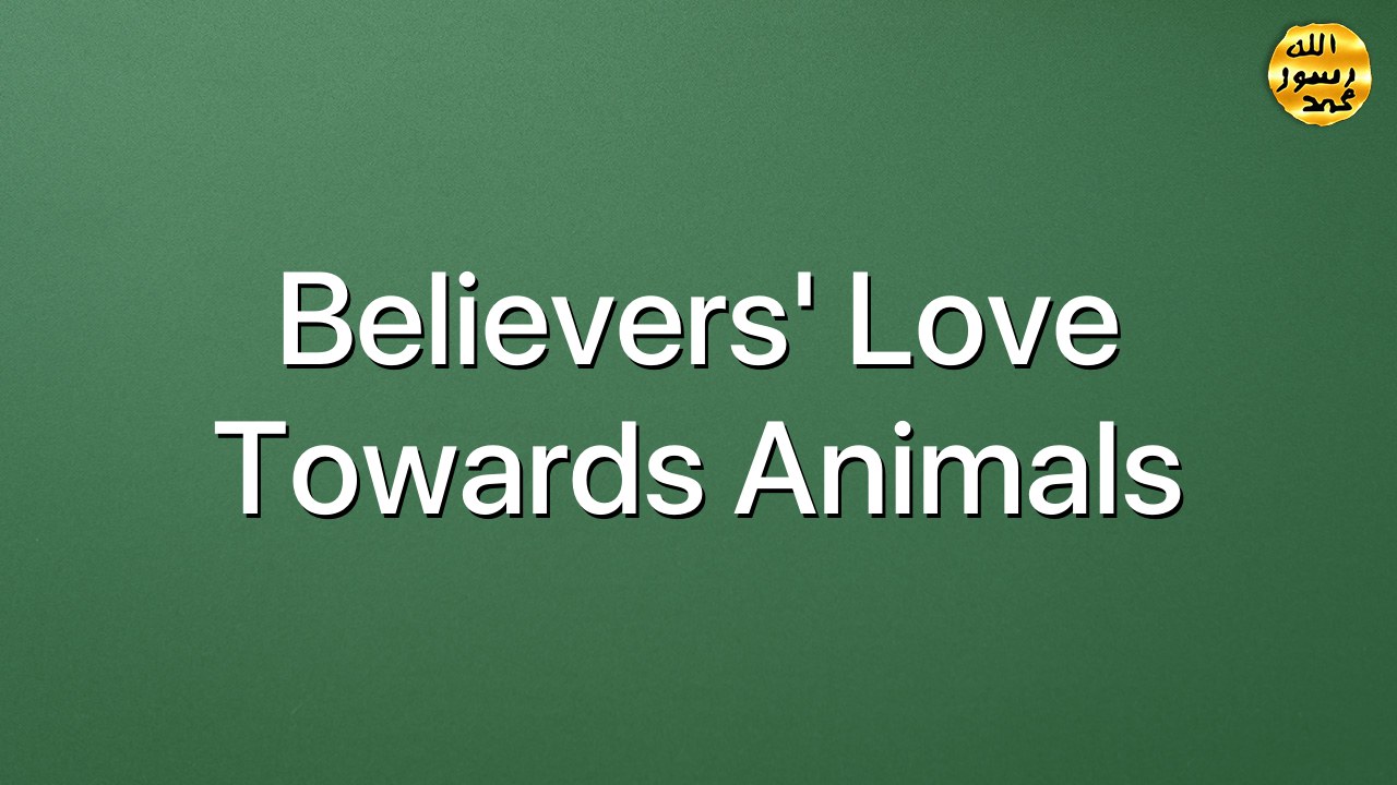 Believers' love towards animals