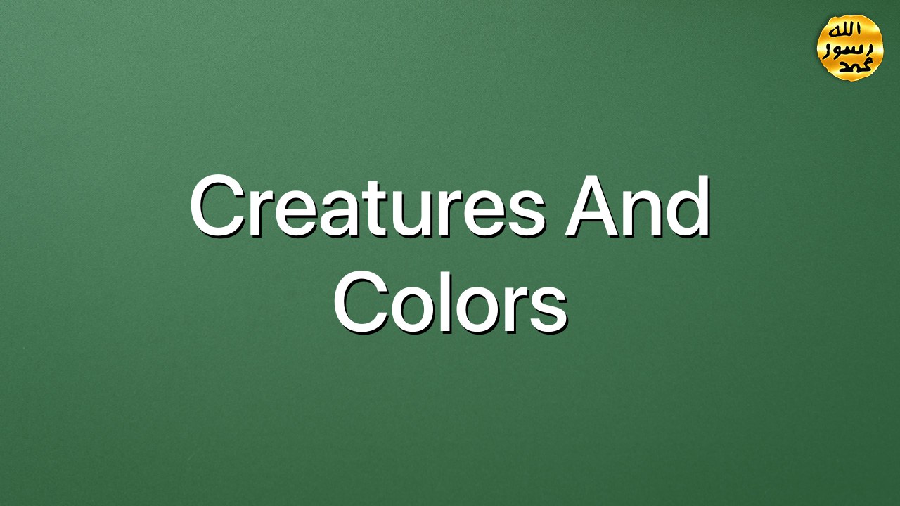Creatures and colors