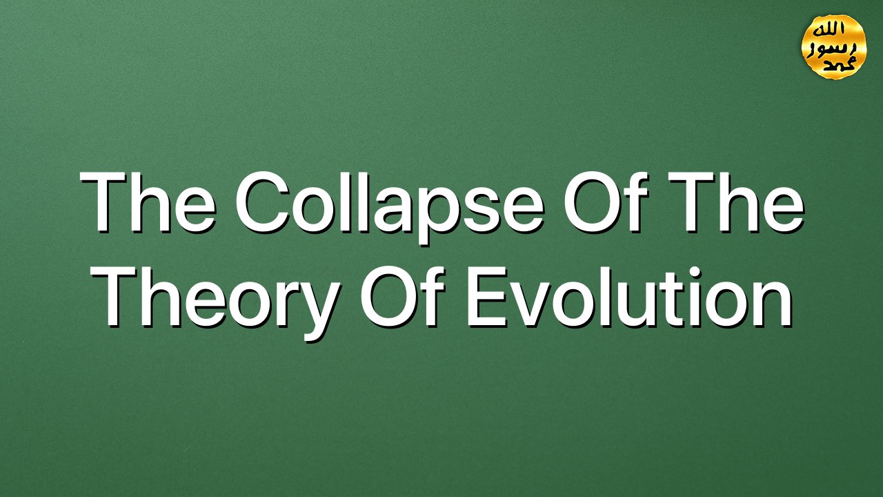 The Collapse Of The Theory Of Evolution