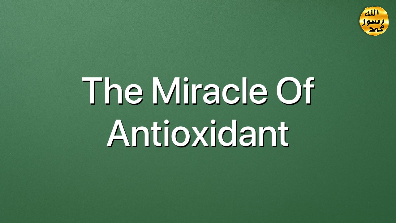 The miracle of antioxidant