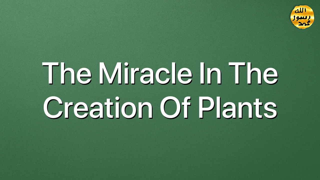 The miracle in the creation of plants