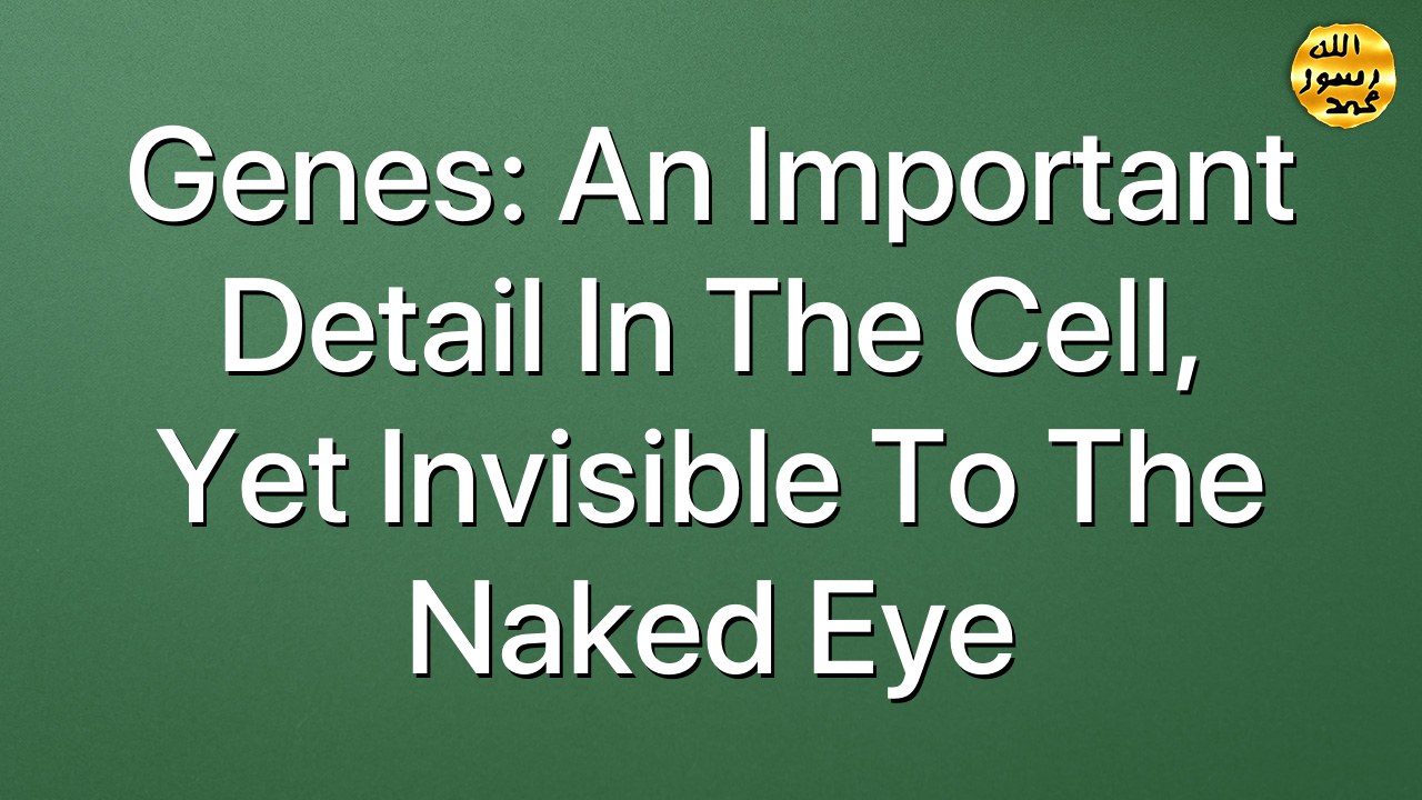 Genes: An Important Detail in the Cell,  Yet Invisible to the Naked Eye