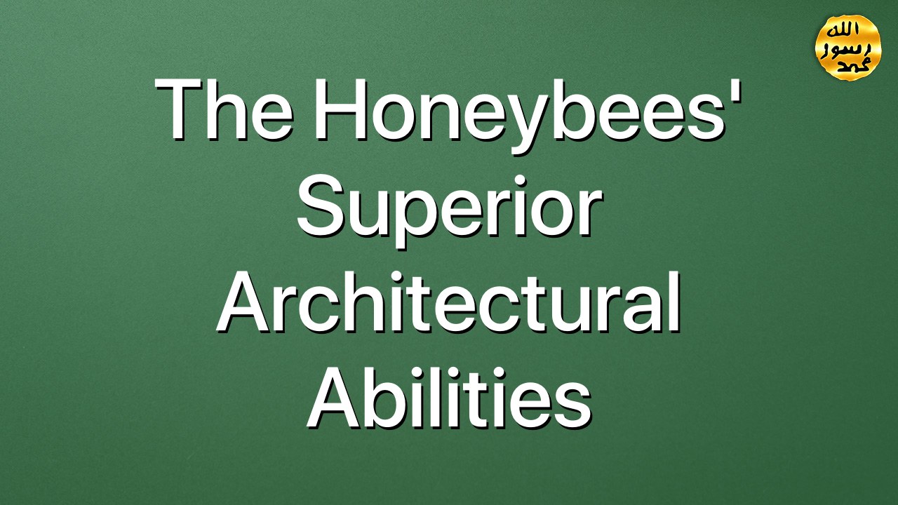 The Honeybees' Superior Architectural Abilities
