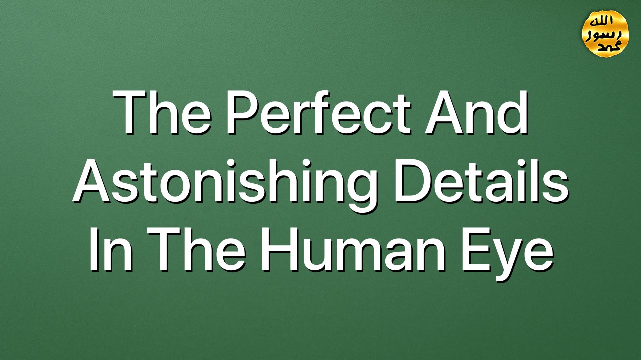 The Perfect and Astonishing Details in the Human Eye