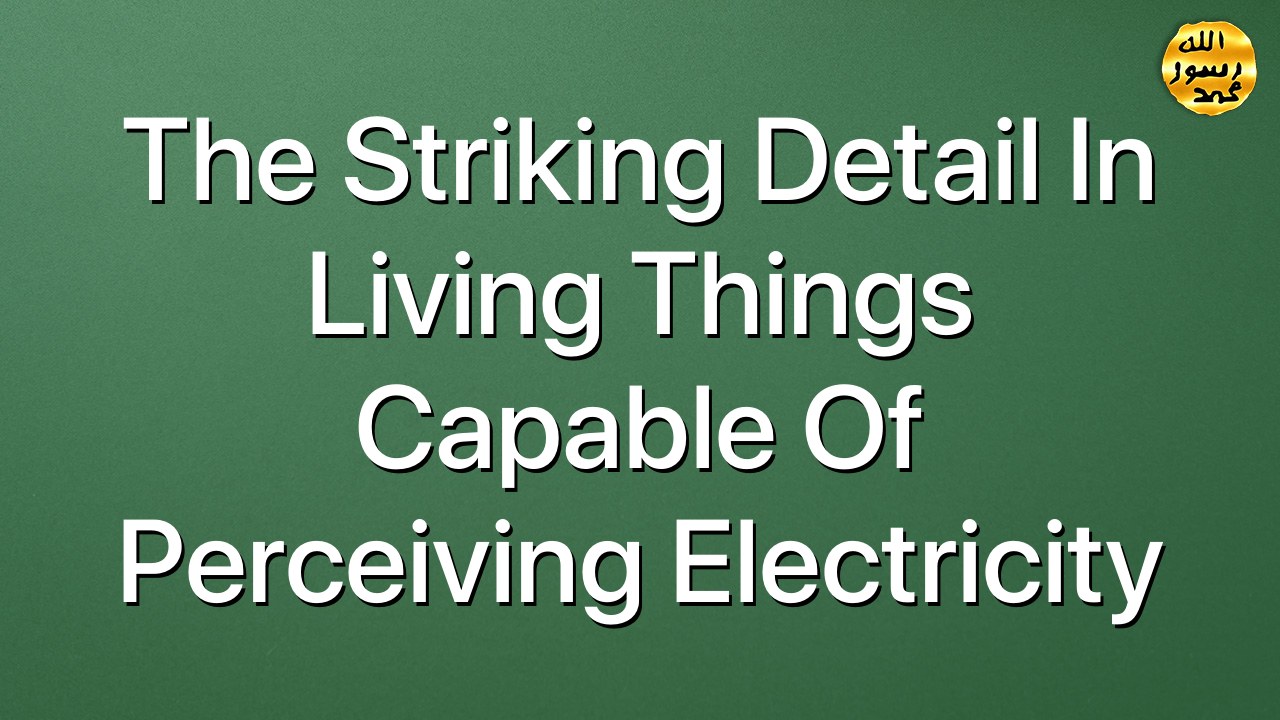The striking detail in living things  capable of perceiving electricity