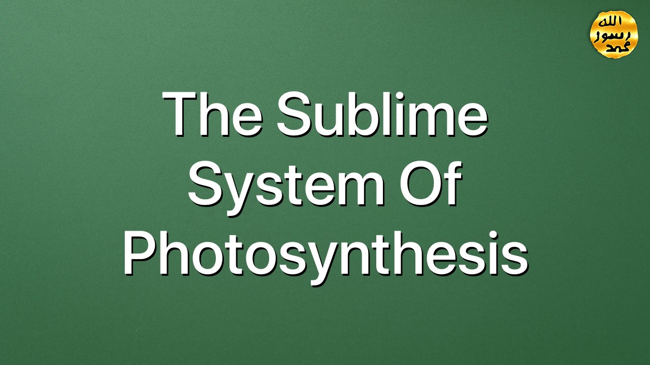 The Sublime System of Photosynthesis