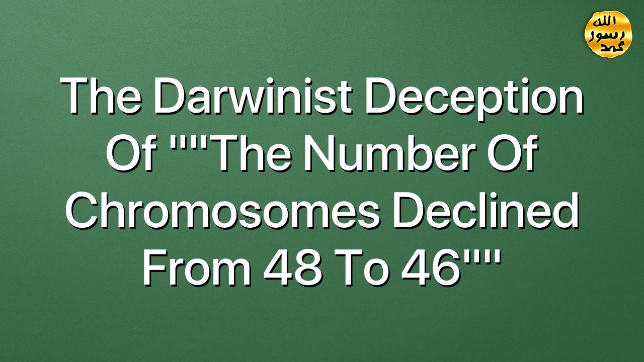 The Darwinist deception of ""The number of chromosomes declined from 48 to 46""