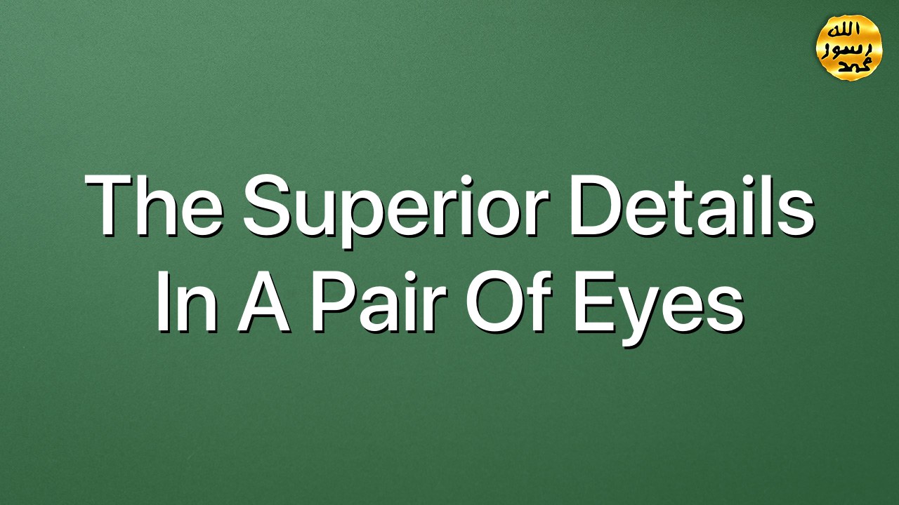 The superior details in a pair of eyes