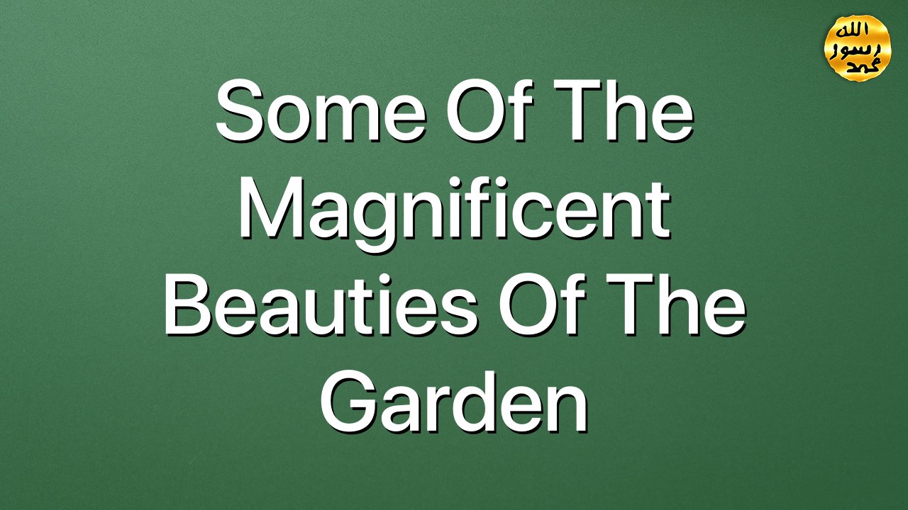Some of the magnificent beauties of the Garden