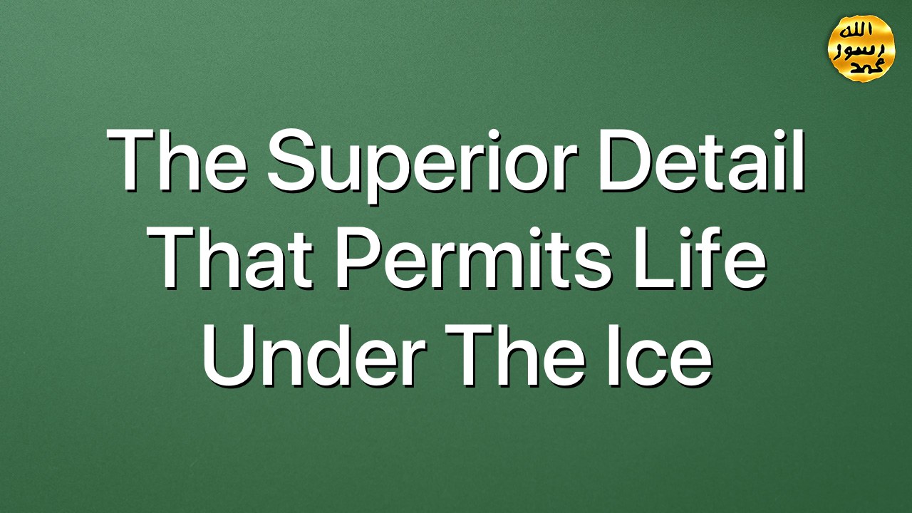 The superior detail that permits  life under the ice