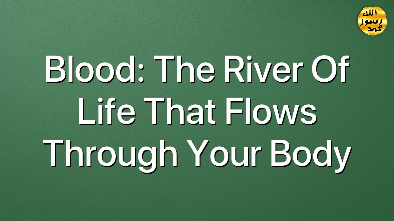 Blood: The river of life that flows through your body
