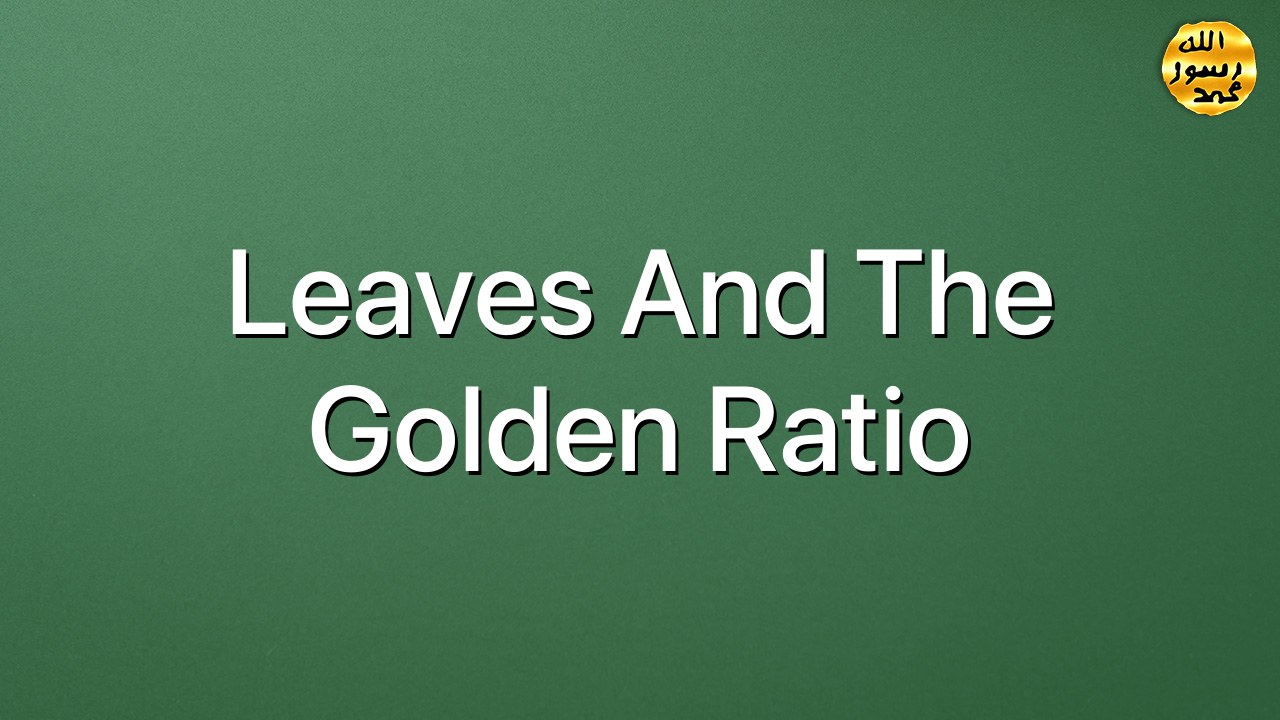 Leaves and the Golden Ratio
