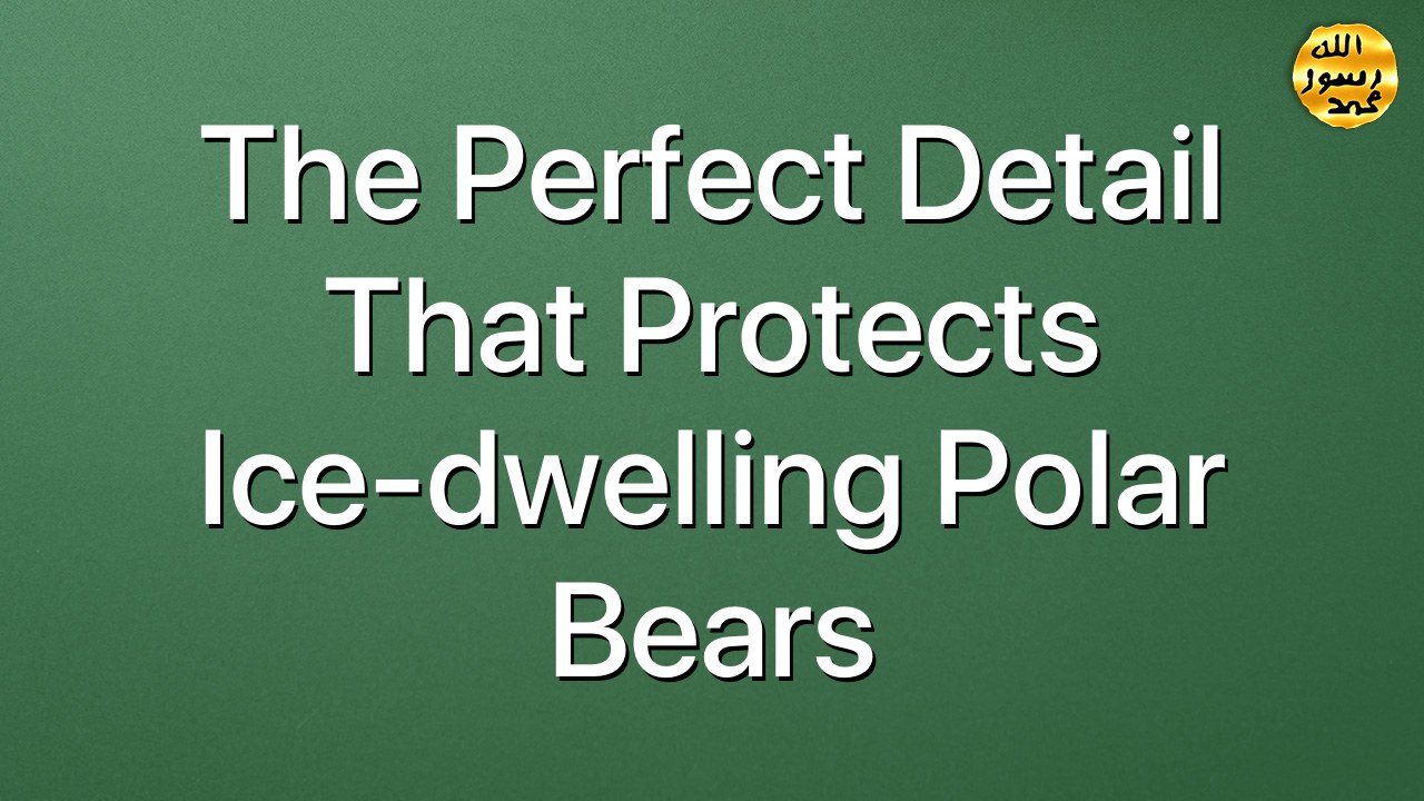 The perfect detail that protects ice-dwelling polar bears