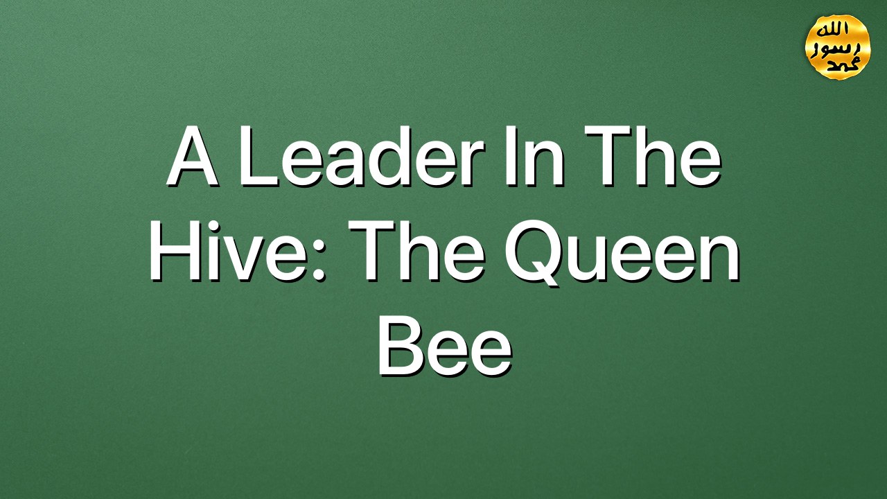 A leader in the hive: the queen bee