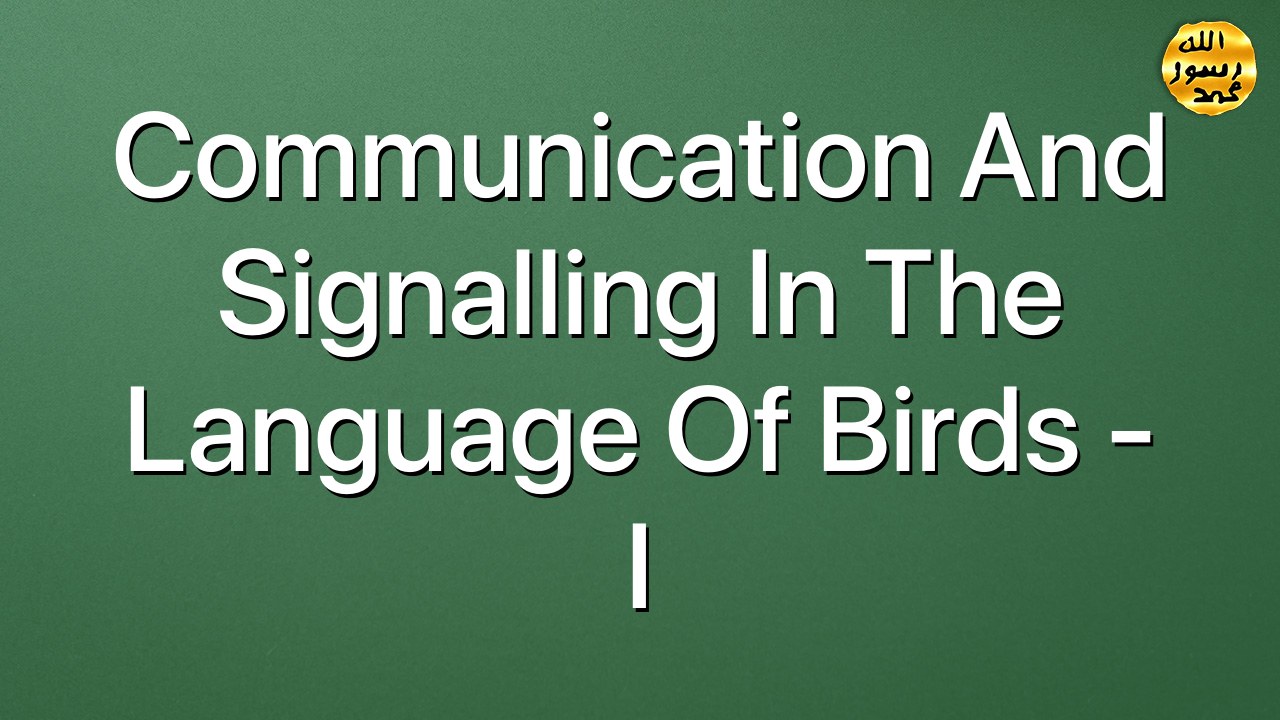 Communication and signalling in the language of birds - I