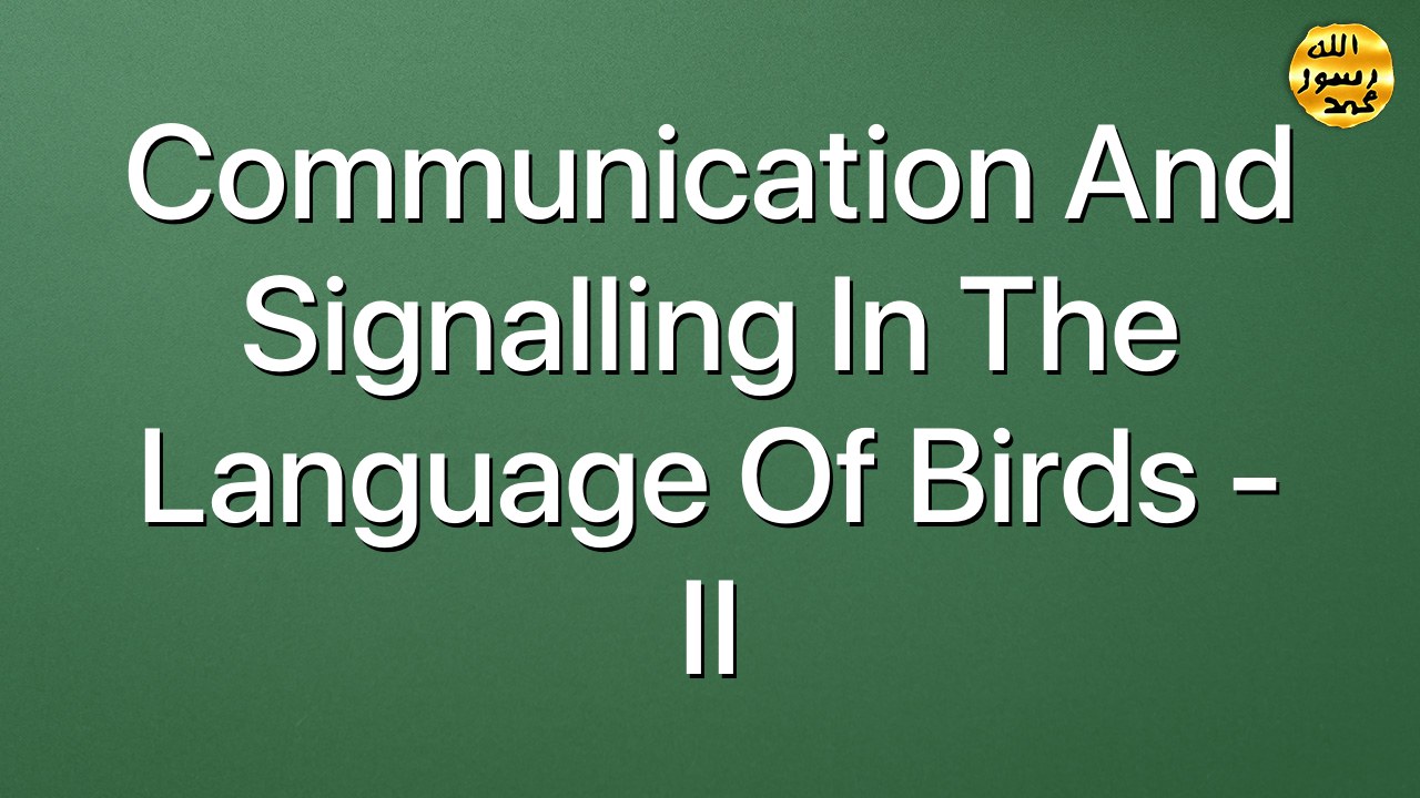 Communication and signalling in the language of birds - II
