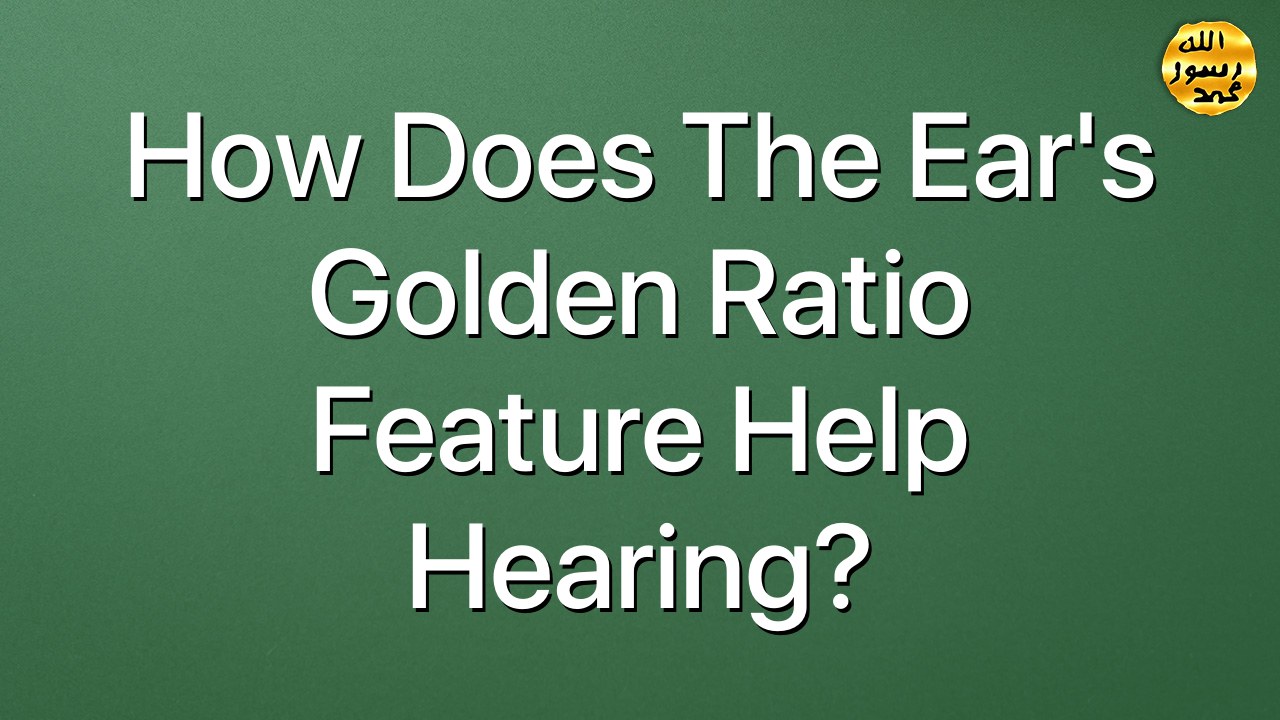 How does the ear's Golden Ratio feature help hearing?