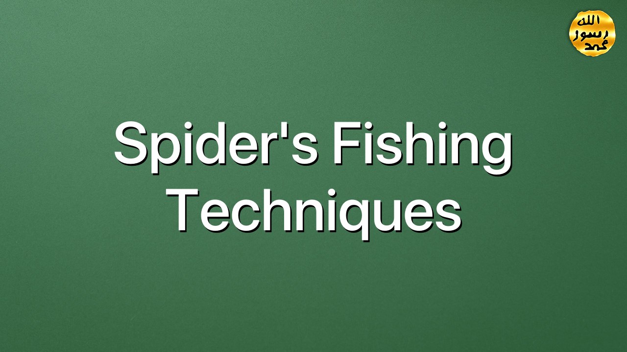 Spider's fishing techniques