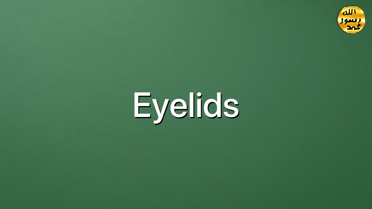 Eyelids