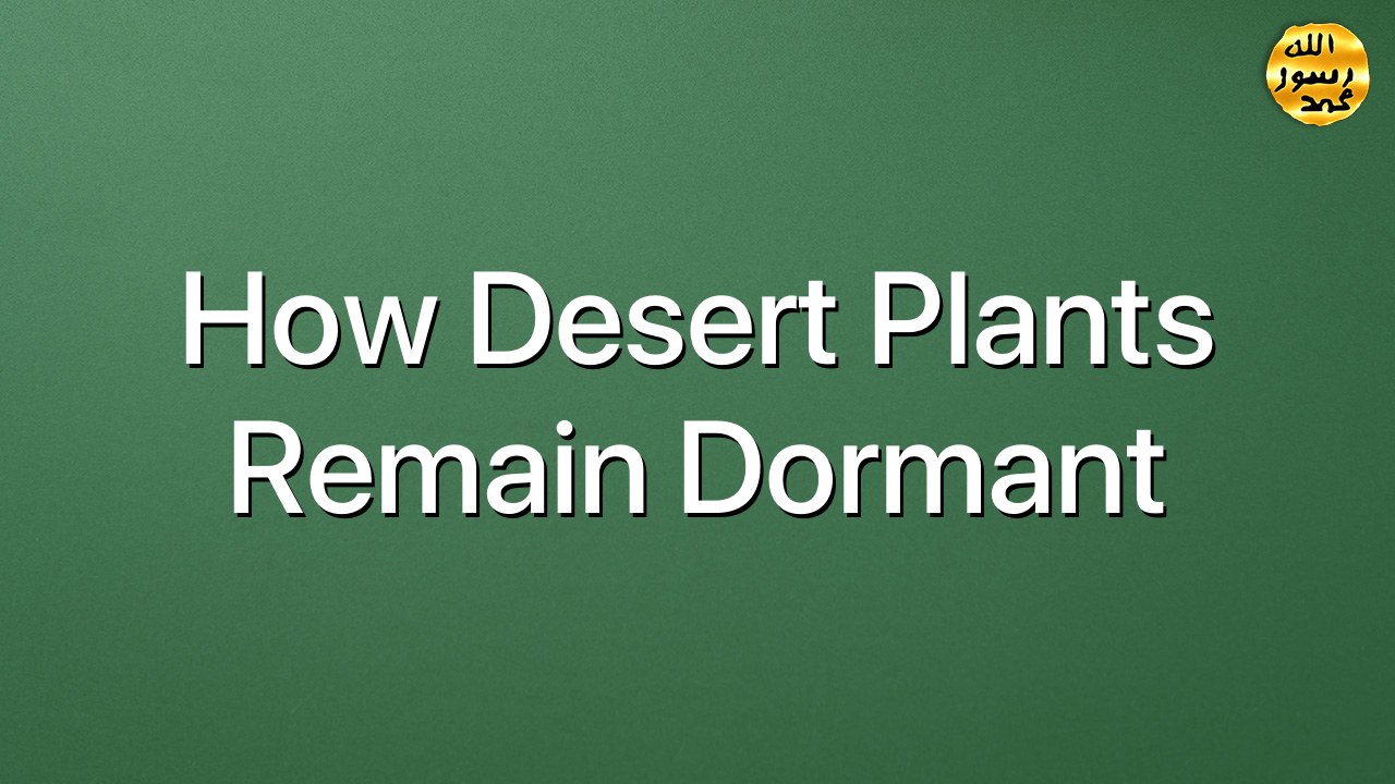 How Desert Plants Remain Dormant