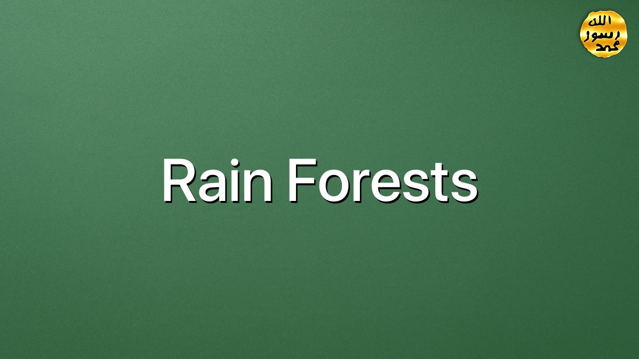 Rain Forests