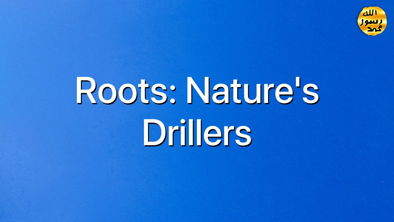 Roots: Nature's Drillers