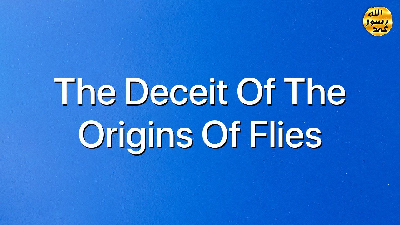 The deceit of the origins of flies