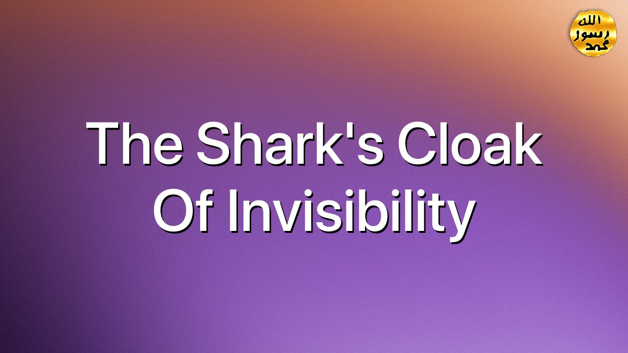 The Shark's cloak of invisibility