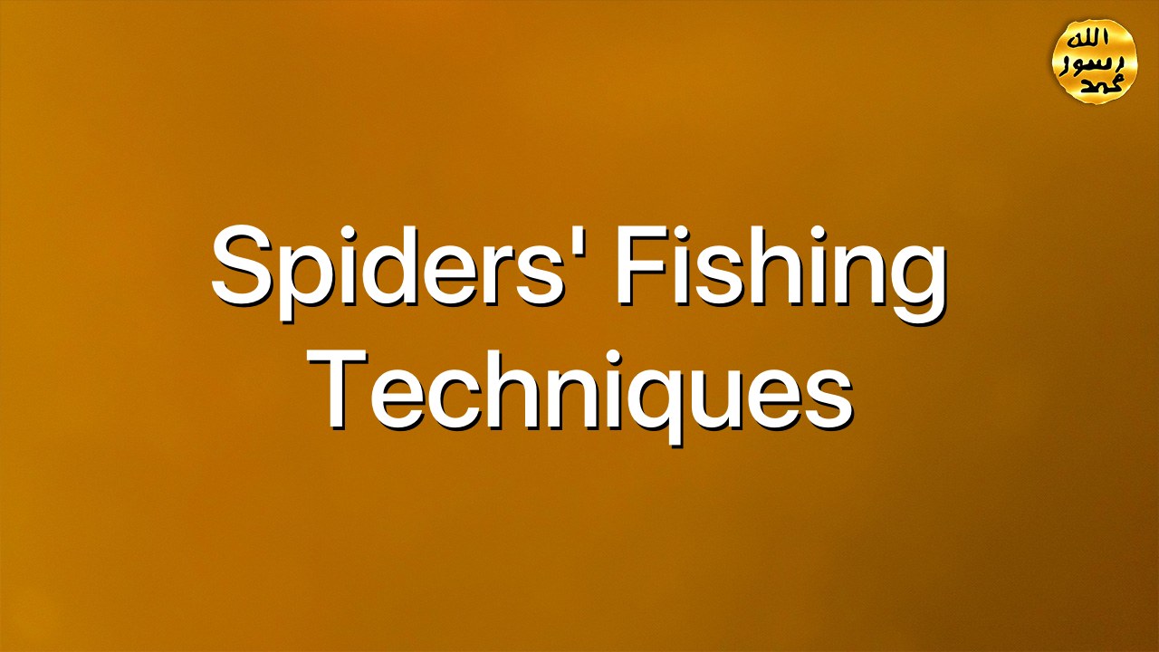 Spiders' fishing techniques